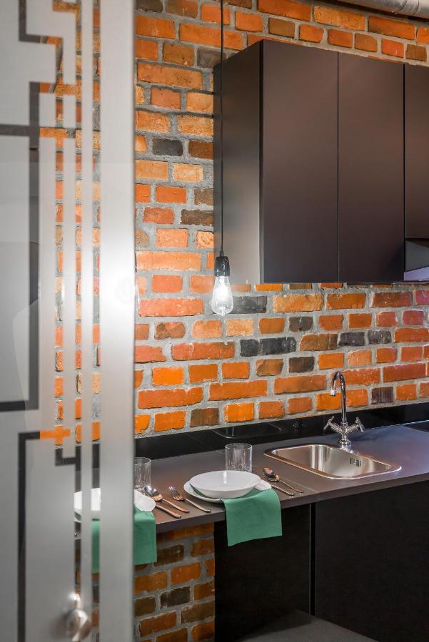 Level -1 Loft Apartments City Center Kopernika Poznan Exterior foto